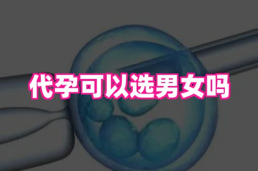 国际助孕网站 4